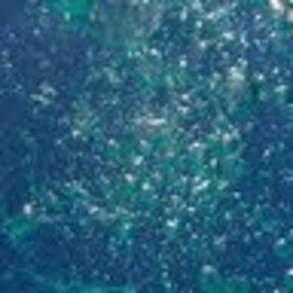 Meet your Posher, Sophia - Picture 1 of 1